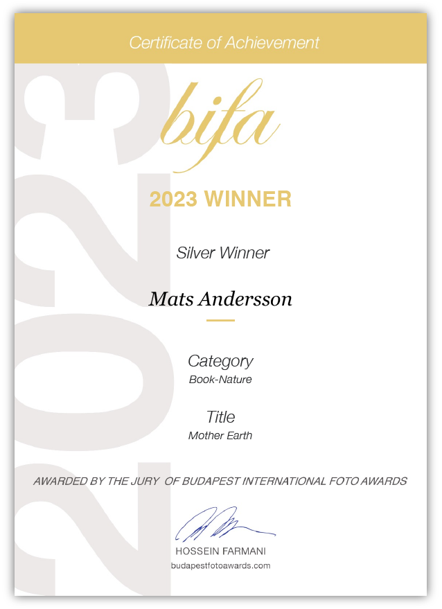 Mother Earth silver winner bifa 2023