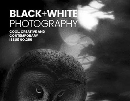 Black + White Photography Mats Andersson art & nature photographer Sweden