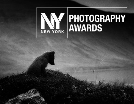 Mats Andersson naturfotograf vinner silver i New York 2024