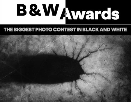 Mats Andersson vinner silver i B&W Photography Awards i Paris
